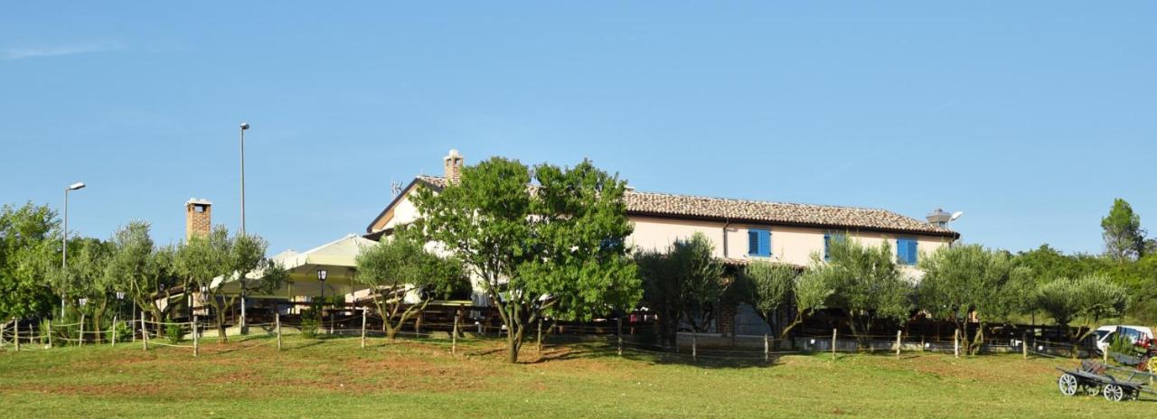 Bed&Breakfast Monte Rosso Porec Exterior photo